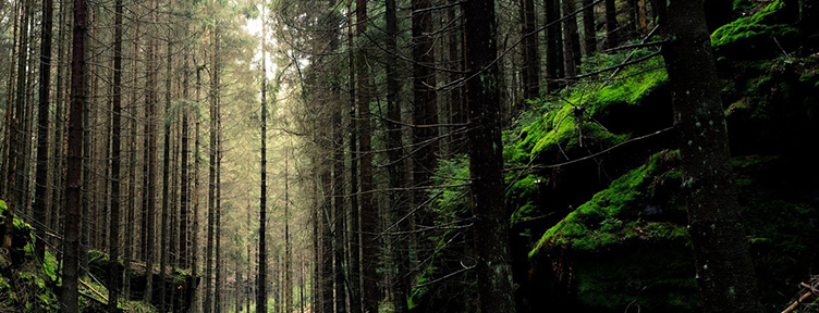 金屬粉末有助于可持續(xù)發(fā)展